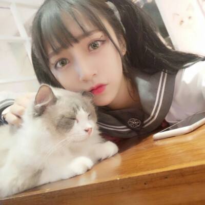 死神破解版下载